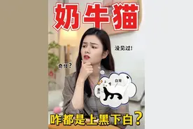 为何奶牛猫都是上黑下白，上白下黑行不行？ #萌宠出道计划 #新手养宠 #猫咪冷知识科普 #科学养猫 #养猫经验分享