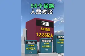 你知道中国56个民族哪个民族的人数最多吗 #56个民族 #排行榜