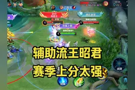 这个赛季的版本答案“肉盾流”王昭君，纯肉出装打辅助，真的好用视频封面