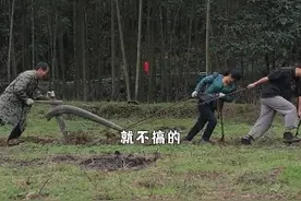 春耕时节，村里没有耕田的水牛了，我们自己套上牛绳拉犁耕田， 感受传统农耕的魅力和粒粒皆辛苦的含义。#耕田 #乡村守护人 #新农人计划2024 #传统农耕 #父母的老家生活视频封面