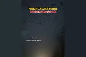 1月31日，网友拍到江苏山东高速交界处，密密麻麻的鸟群在空中盘旋#鸟群 #密集恐惧#细思极恐#场面壮观 #山东暴雪视频封面