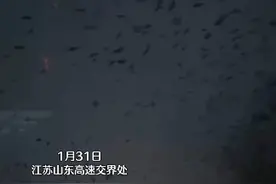 1月31日，网友拍到江苏山东高速交界处，密密麻麻的鸟群在空中盘旋#鸟群 #密集恐惧#细思极恐#场面壮观 #山东暴雪视频封面