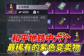 和平精英雪龙：和平地铁中，六个最稀有的紫色变卖物