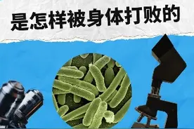 大肠杆菌是如何在我们的肚子里大闹天宫的？ 肠道里的细菌大战#十万个为什么 #十万分好奇 #大肠杆菌