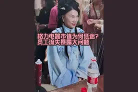 格力电器股价为什么不涨？ #财经 #格力电器 #美的 #董明珠