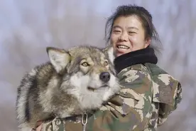 “哈喽大家好，我是吴燕我在新疆养狼