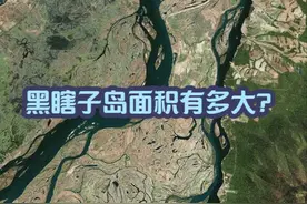 黑瞎子岛面积有多大？ 黑瞎子岛，又称抚远三角洲，位于中国黑龙江与乌苏里江交汇处。该岛由银龙岛、黑瞎子岛、明月岛三个岛系组成，原有93个岛屿和沙洲，现有87个岛屿和沙洲，其中岛屿73个，沙洲14个。岛长58800米，最宽处为14000米，整体面积约为335平方公里。视频封面