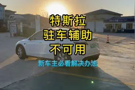 #特斯拉 驻车辅助不可用，解决软件Bug的好方法#modely #model3
