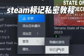 steam标记为私密功能测试了，steam标记为私密教程。