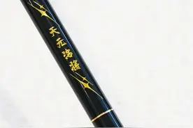 天元洺将鲫6.3米实测 抛投性能突出，腰力表现也很不错的竿子视频封面