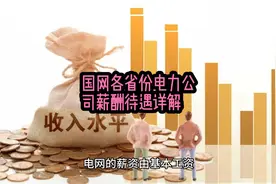 国网各省份电力公司薪酬待遇详解#电气视频封面
