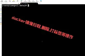 docker下镜像的基础操作之拉取,删除,打标签等 #镜像 #拉取 #删除视频封面