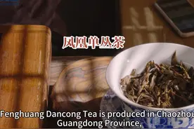 用英语介绍凤凰单丛茶 凤凰单丛茶产自广东省潮州市视频封面