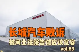 长城汽车败诉 被河北法院告诫应该宽容 #长城汽车 #审计 #败诉视频封面