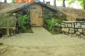 沉浸式体验一个小时超长荒野建造保证让你美美入睡 #荒野建造