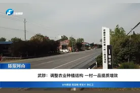 武陟：调整农业种植结构 一村一品提质增效#助力乡村振兴视频封面
