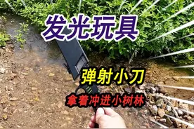 满是杂草的小河里，捡到一把弹射玩具小刀，冒着蓝光冲进板栗树林视频封面