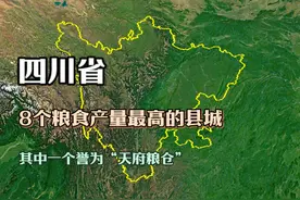 四川8个粮食产量大县，其中一个誉为“天府粮仓”，有你家乡吗？视频封面