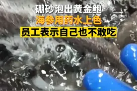 直击315｜3月14日，辽宁大连。暗访揭秘海鲜加工厂狠活：硼砂泡出黄金鲍，海参用药水上色。 关注👉@小政视频#辽宁dou知道#抖音小助手#食品安全 #工厂实拍视频 #食品真相大揭秘 #315消费者权益日#海鲜加工厂（来源：新京报）视频封面