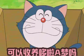 蓝胖子在空地捡到了一只和自己长的一模一样的小猫咪!#新番视频封面