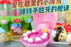爱吃糖果的小河马 保持不蛀牙的秘诀#玩具 #玩具故事 #玩具视频视频封面