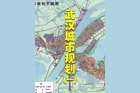 武汉第一版城市规划有多惊艳？中轴线串联三镇，道路棋盘式布局视频封面