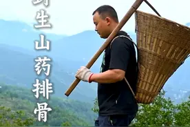 野生山药排骨汤 今天上山挖了一些野生山药，回来煲一锅山药排骨汤。汤鲜味美，热气腾腾，在这略有寒意的秋夜吃着格外温暖。#山药 #排骨 #大自然的馈赠 #农村美食 #新农人计划2024 @DOU+小助手