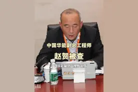 中国华能副总工程师赵贺接受纪律审查和监察调查 #审查调查  #反腐倡廉  #说案视频封面