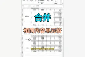 Excel中合并相同内容单元格 #电脑知识 #excel #办公技巧视频封面