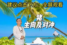 生肖猪的坐向及对冲 #国学文化 #热点话题 #性格 #生肖文化