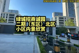 小区推荐：滨湖绿城招商诚园，容积率1.8，高层层高3米视频封面