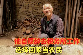 老婆给他说了一番话，他自愿从税务所辞职，回家当了一辈子农民视频封面