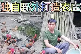 野外独自打造农庄 第七集：精心喂养农庄内的所有动物