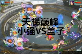 大话西游2天梯巅峰战； 天梯巅峰赛8强定级赛，小强VS盖子；视频封面