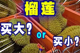 榴莲到底怎么买更划算呢？ #榴莲