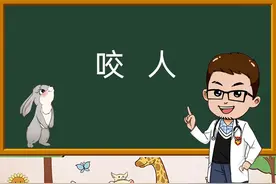 兔子为什么会咬人？兔子咬人该怎么办？#宠物兔子的日常视频封面