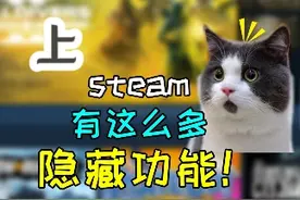 （上）steam超实用隐藏小技巧！ 10个打破你认知的神奇功能视频封面