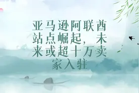 亚马逊阿联酋站点崛起，未来或超十万卖家入驻#跨境电商 #亚马逊视频封面