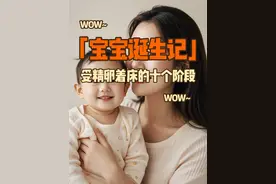 受精卵着床的过程，着床的十个阶段 #备孕 #着床 #热点 #受孕