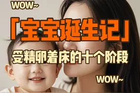 受精卵着床的过程，着床的十个阶段 #备孕 #着床 #热点 #受孕视频封面