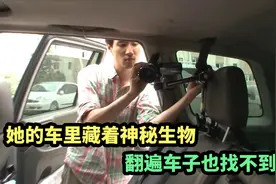 她的车里藏着神秘生物，翻遍车子也找不到#奇闻奇事 #猫视频封面