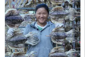 海味凝缩成干日久不散，需要时发开来鲜味流溢，墨鱼干就是如此视频封面
