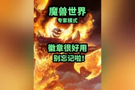 在专家模式，徽章还是挺有用的，各位别忘记了！ #魔兽世界 #魔兽世界怀旧服