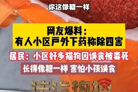 网友爆料：武汉某小区第三方公司下灭鼠药，猫狗误食中毒，居民担心有安全隐患，长得像糖一样害怕小孩误食！视频封面