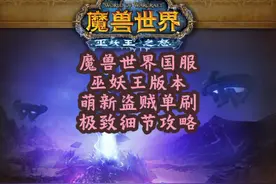 魔兽世界巫妖王版本盗贼单刷入坑第一讲 起号攻略视频封面