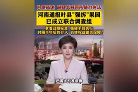 河南通报“叶县强拆果园”事件：成立联合调查组 #河南#果园#大学生#叶县视频封面