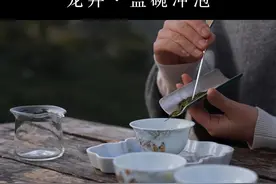 如果你收到一泡很珍贵的龙井茶，一定要试试这种盖碗冲泡法！朋友喝了都说好 #龙井茶 #春茶季 #茶生活 #爱茶人视频封面