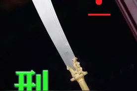 贵州武警捕歼战纪实 #陕普解说