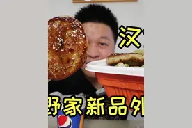 吉野家新出的汉堡肉饼饭，9.9一大块本以为很赚，咬一口...