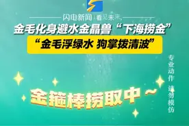 近日，福建福鼎，金毛化身避水金晶兽“下海捞金”，“金毛浮绿水，狗掌拨清波”。#潜水 #水下寻宝 #金毛视频封面